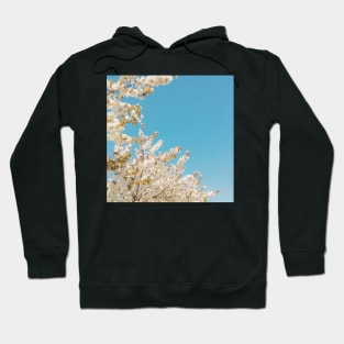 Wave of Flowers Hoodie